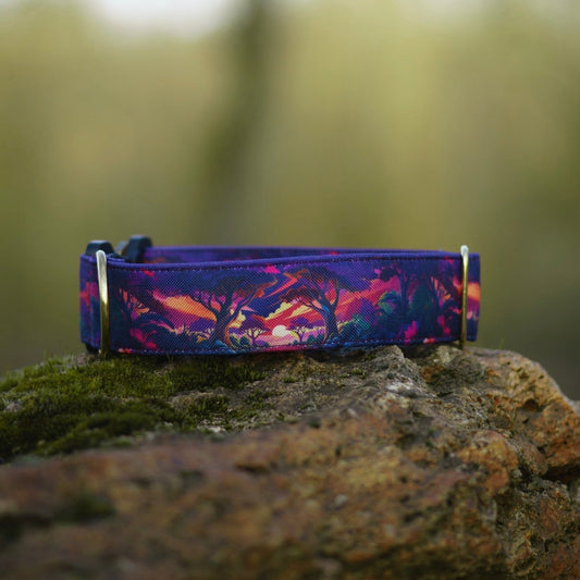 Collier pour chien - Redwood