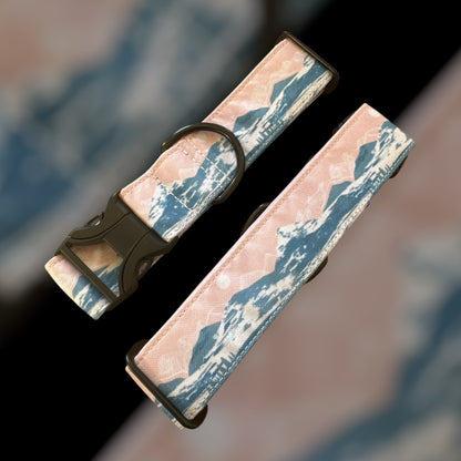 Collier Taille M - Clip plastique 38mm