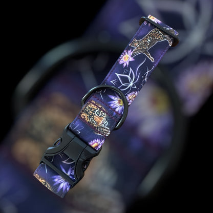 Collier Taille M - Clip plastique 38mm