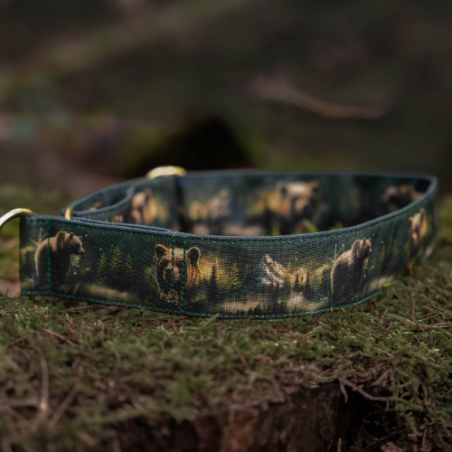 Collier pour chien - Totem Ours