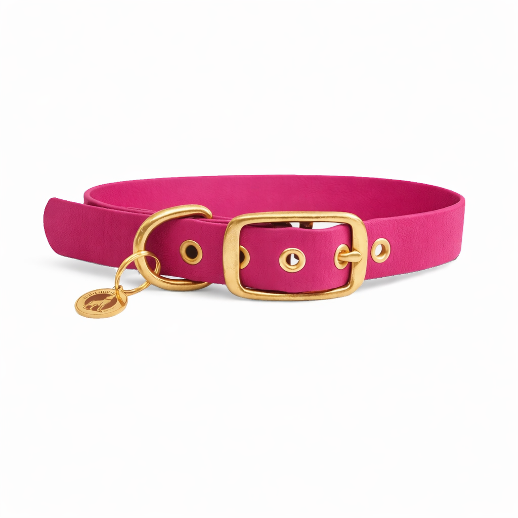 Collier en biothane® - Passion