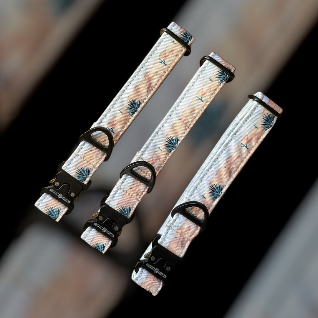 Collier Taille M - Clip sécu 25mm