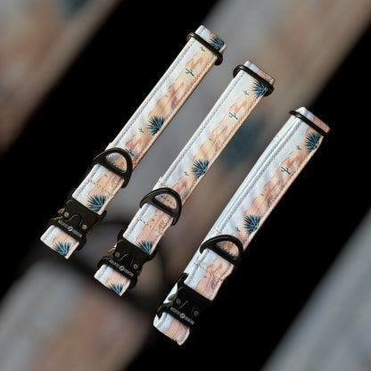 Collier Taille M - Clip sécu 25mm