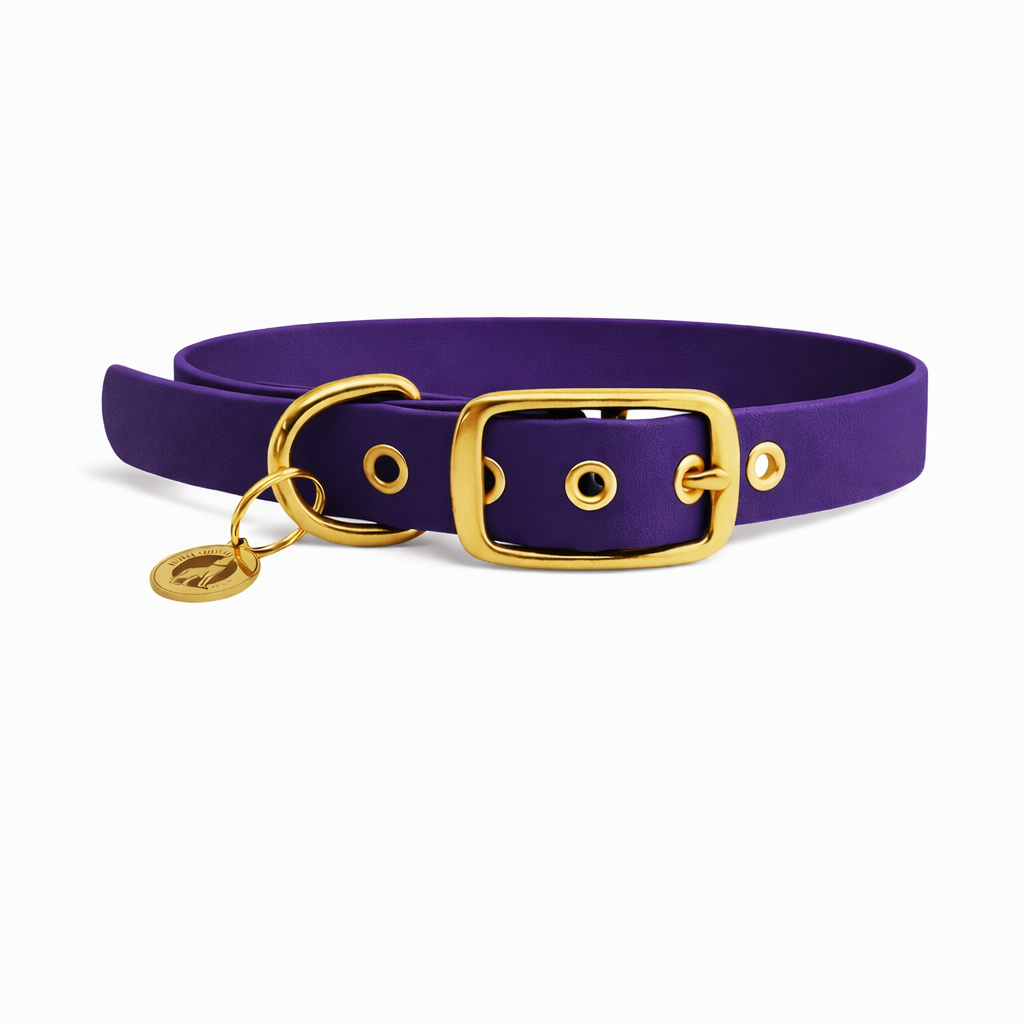 Collier en biothane® - Violet