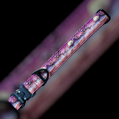 Collier Taille L - Clip sécu 25mm