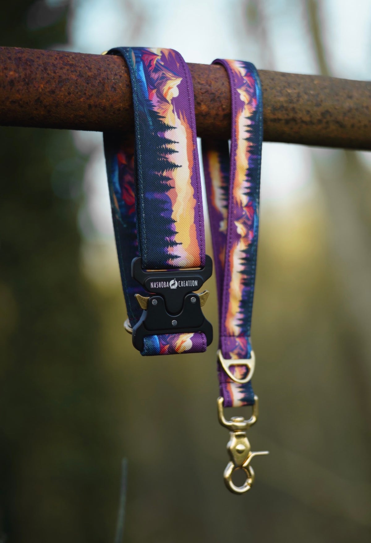 Collier pour chien - Amber Valley
