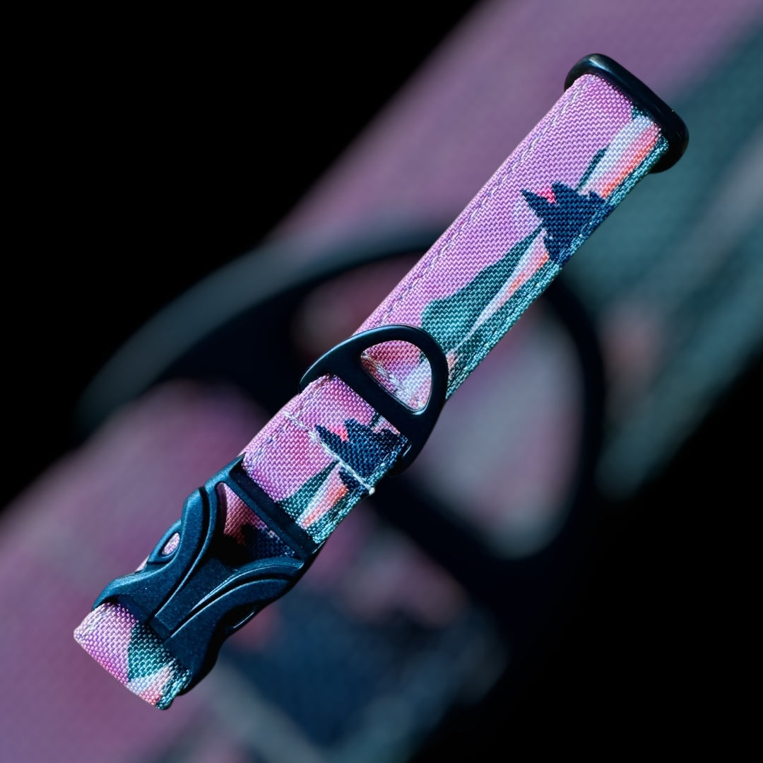 Collier Taille S - CLIP plastique 20mm