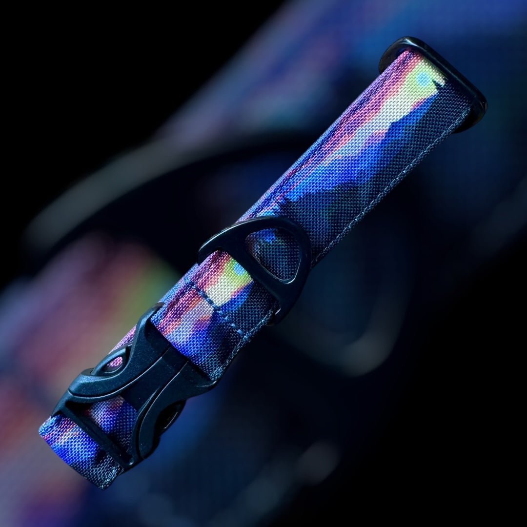 Collier Taille S - Clip plastique 25mm