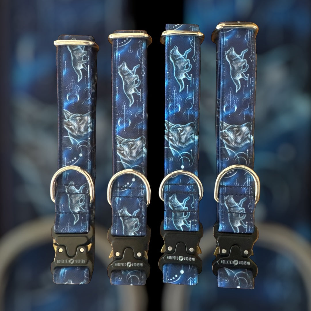 Collier Taille M - Clip sécu 25mm