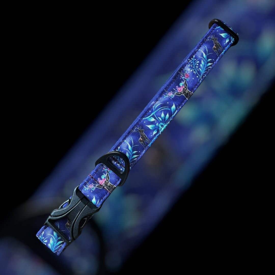 Collier Taille L - Clip plastique 25mm