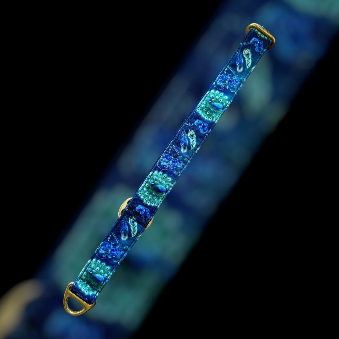 Martingale Taille L (36cm à 67cm) - 25mm