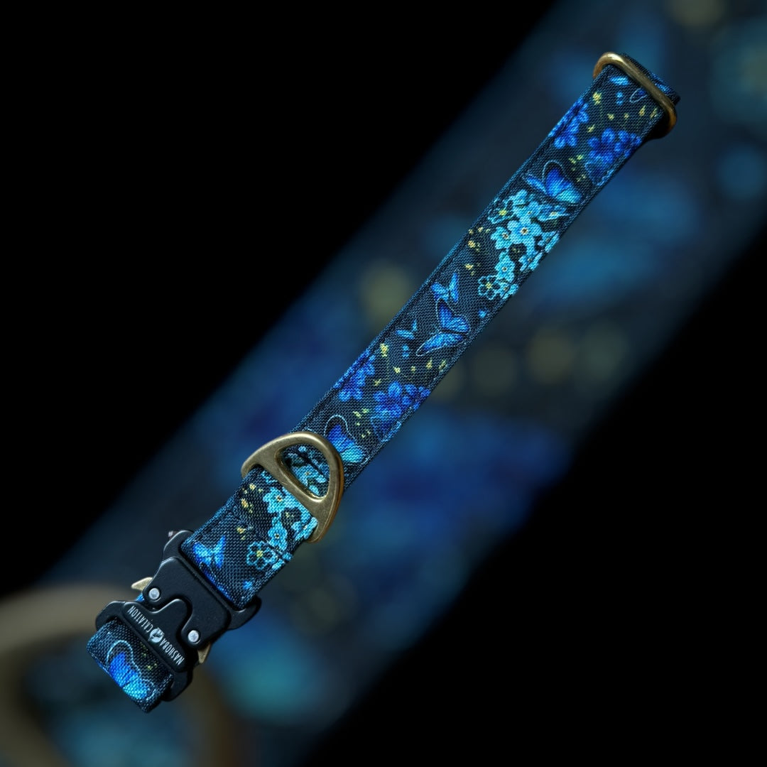 Collier Taille L - Clip sécu 25mm