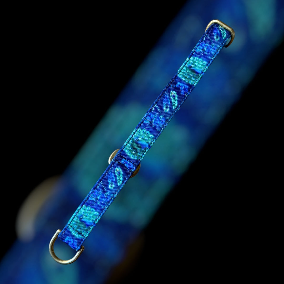 Martingale Taille S - 20mm