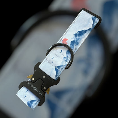 Collier Taille M - Clip sécu 38mm