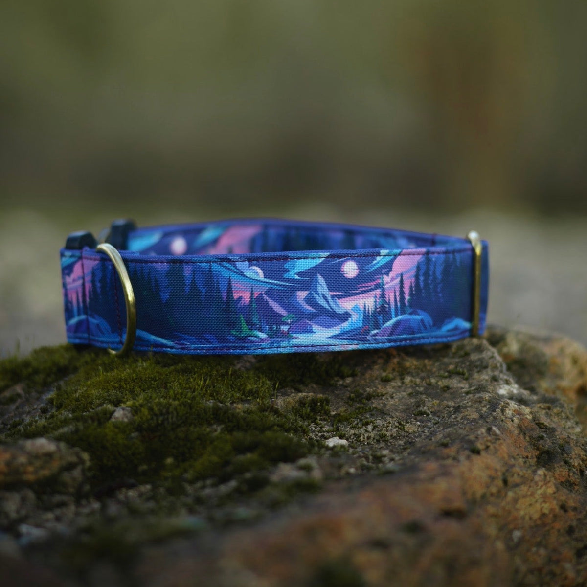 Collier pour chien - Moonriver