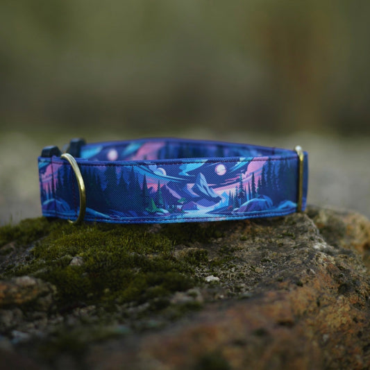 Collier pour chien - Moonriver