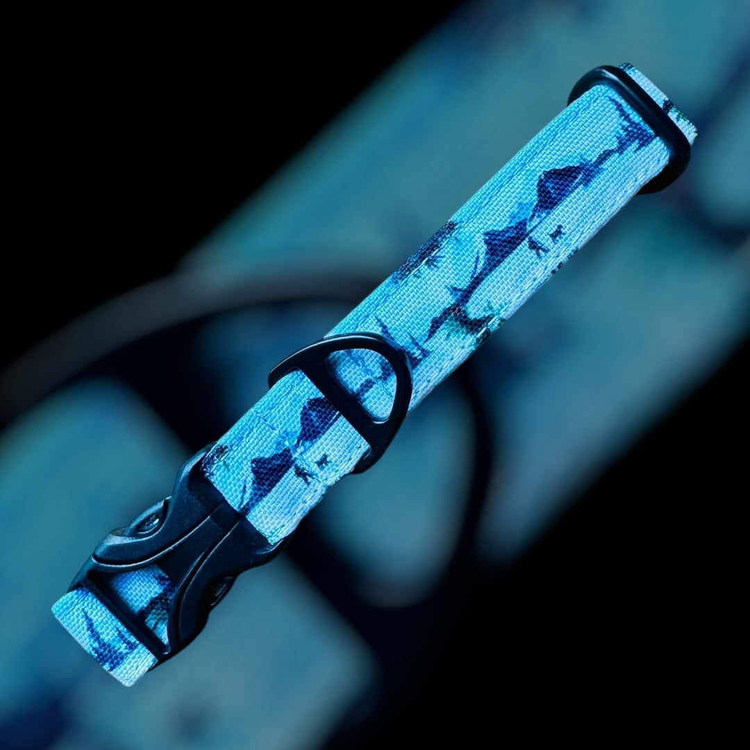 Collier Taille S - CLIP plastique 20mm