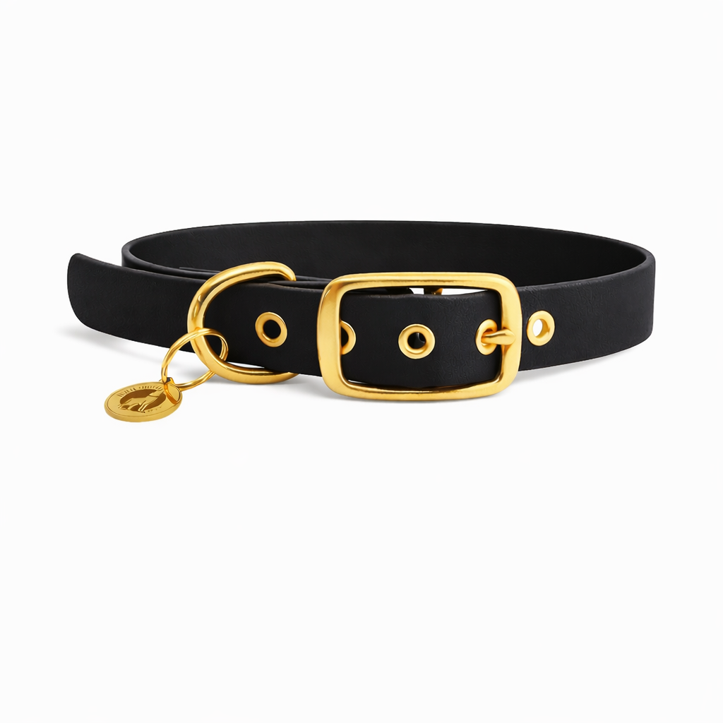 Collier en biothane® - Noir