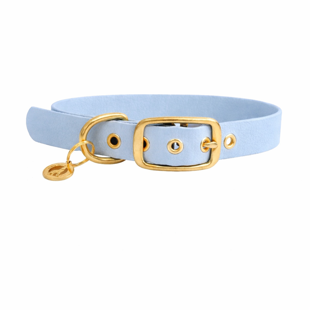 Collier en biothane® - Polaire