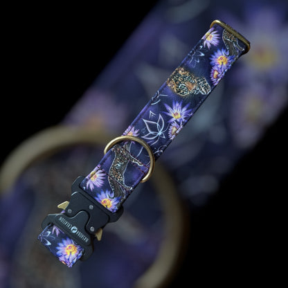 Collier Taille L - Clip sécu 38mm