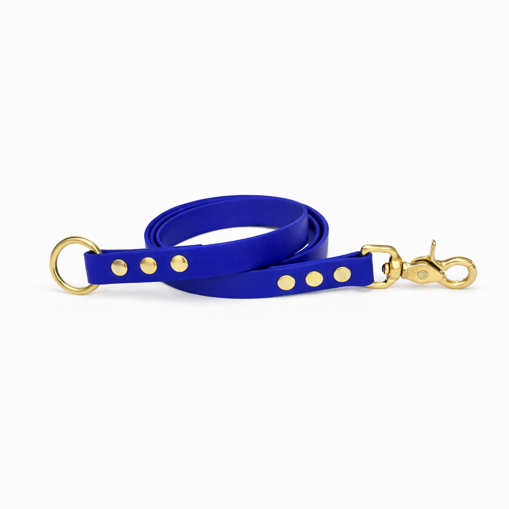 Laisse amovible en biothane® - Royal