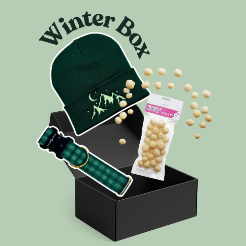 La Winter Box - Damier vert & Bonnet Forêt