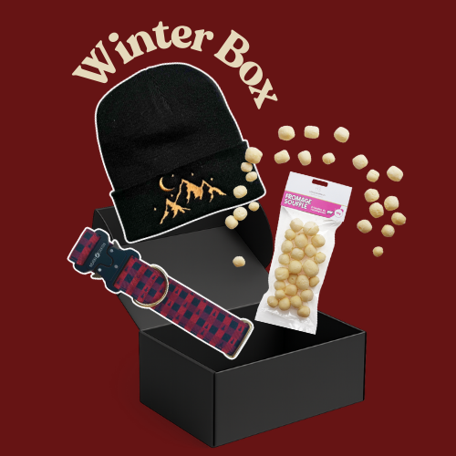 La Winter Box - Damier Rouge & bonnet noir