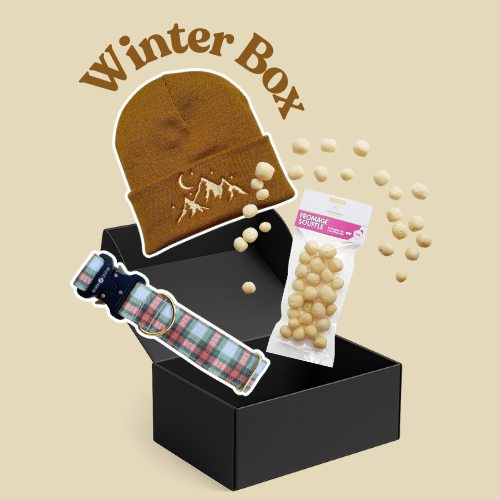 La Winter Box - Hightland & Bonnet Camel