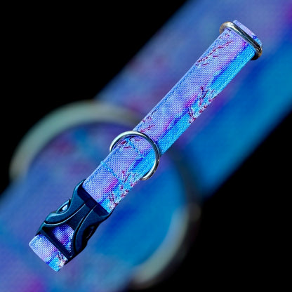 Collier Taille S - CLIP plastique 20mm