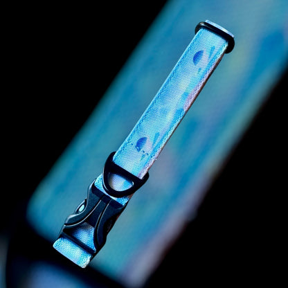 Collier Taille S - CLIP plastique 20mm