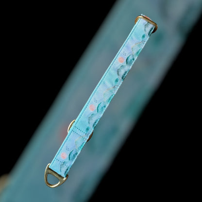 Martingale Taille S - 25mm