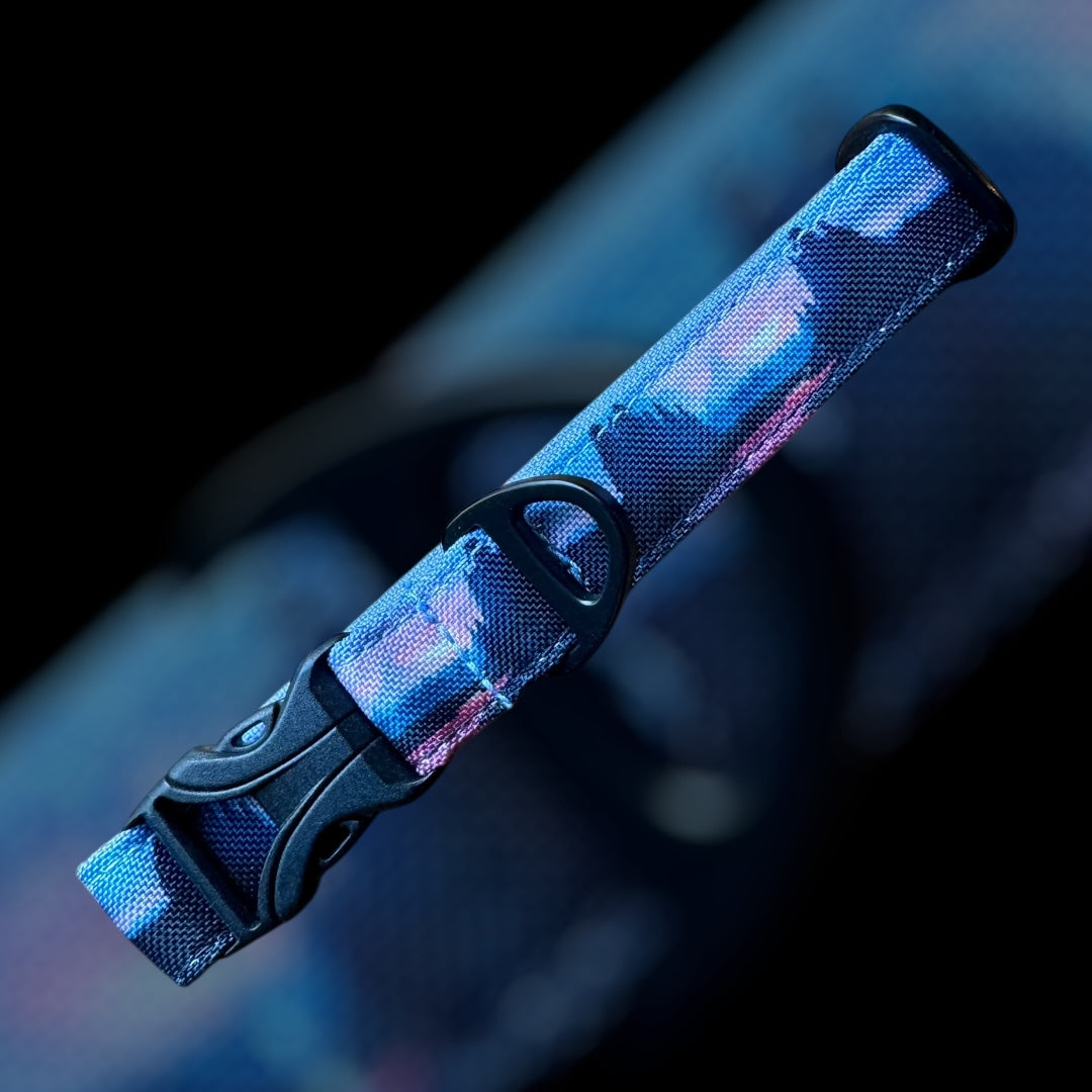 Collier Taille S - CLIP plastique 20mm