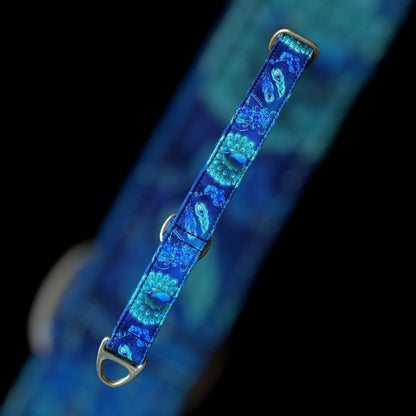 Martingale Taille S - 25mm