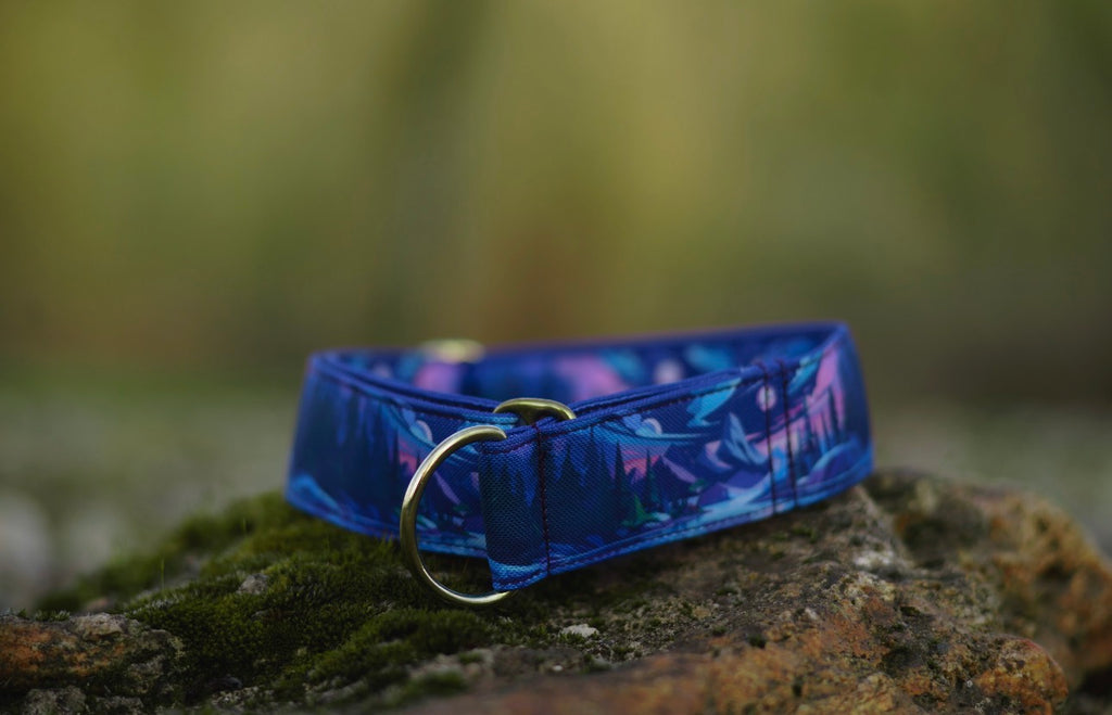 Collier pour chien - Moonriver
