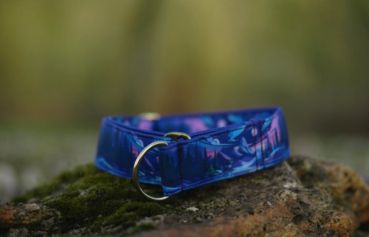 Collier pour chien - Moonriver