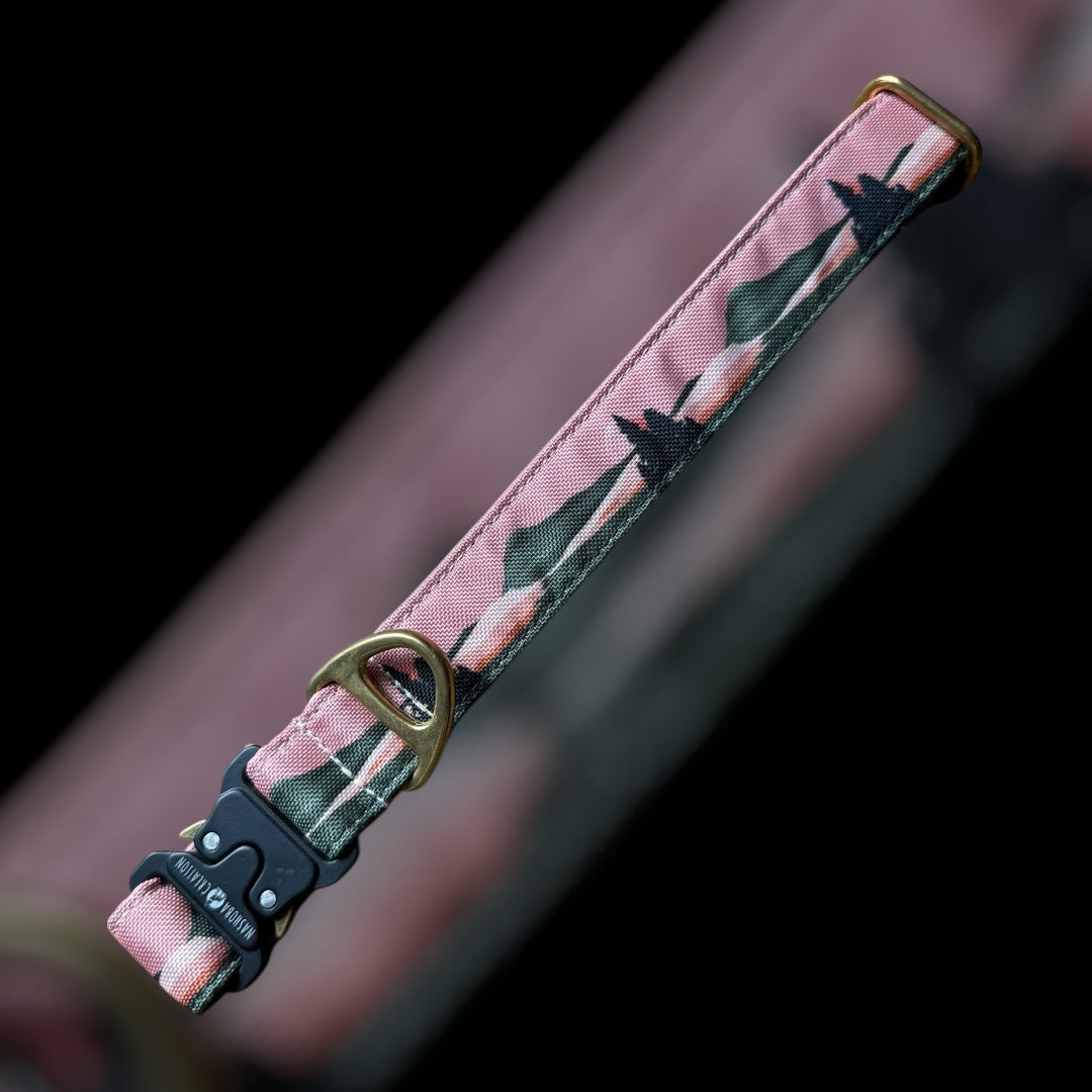 Collier Taille L - Clip sécu 25mm