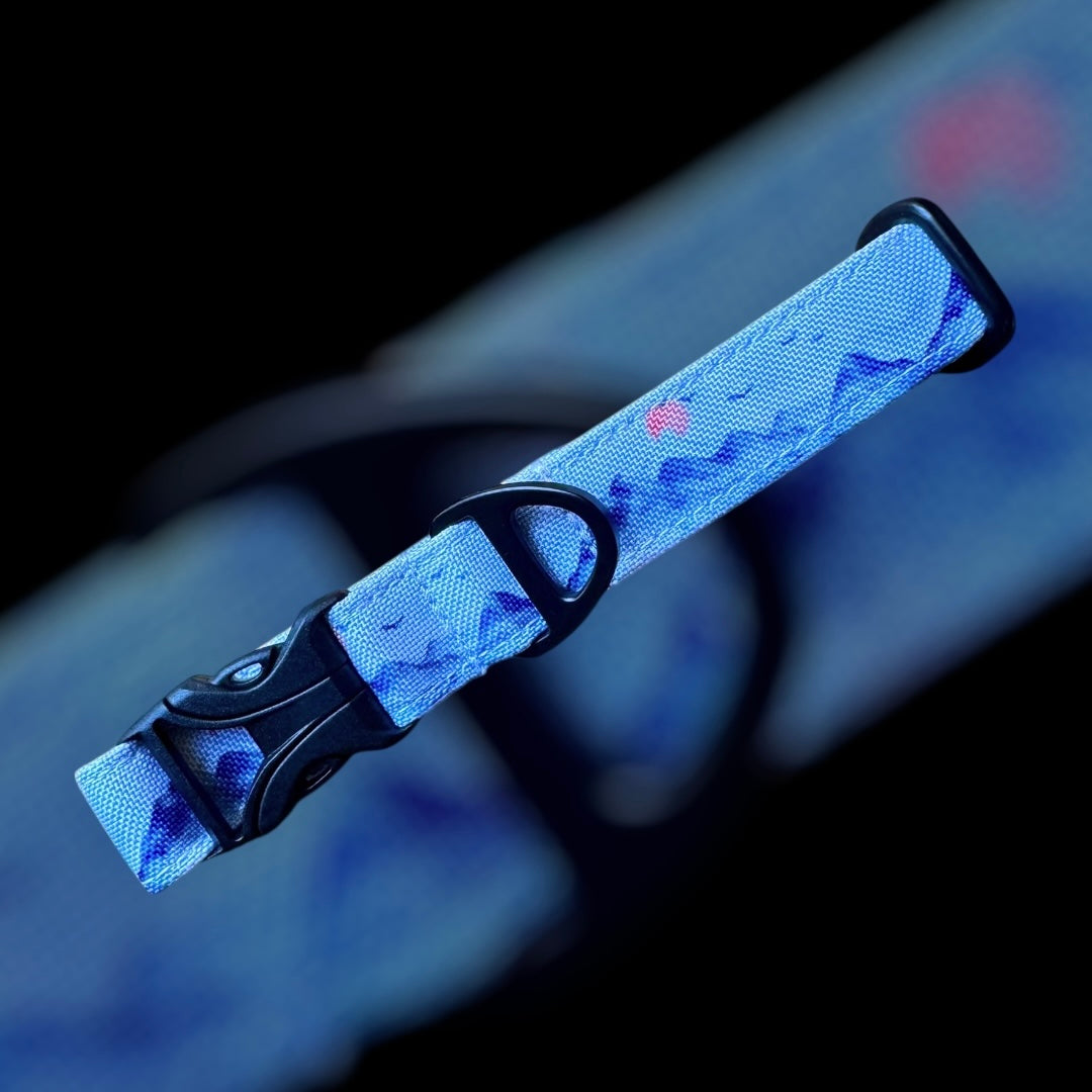 Collier Taille S - CLIP plastique 20mm