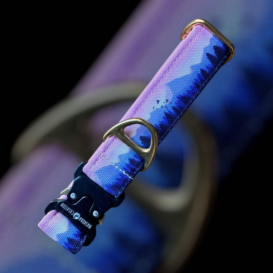 Collier Taille S - Clip sécu 25mm