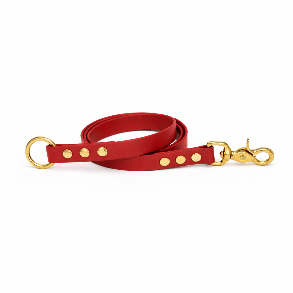 Laisse amovible en biothane® - Rouge