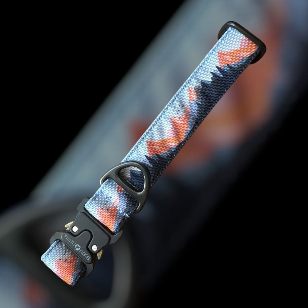 Collier Taille M - Clip sécu 25mm