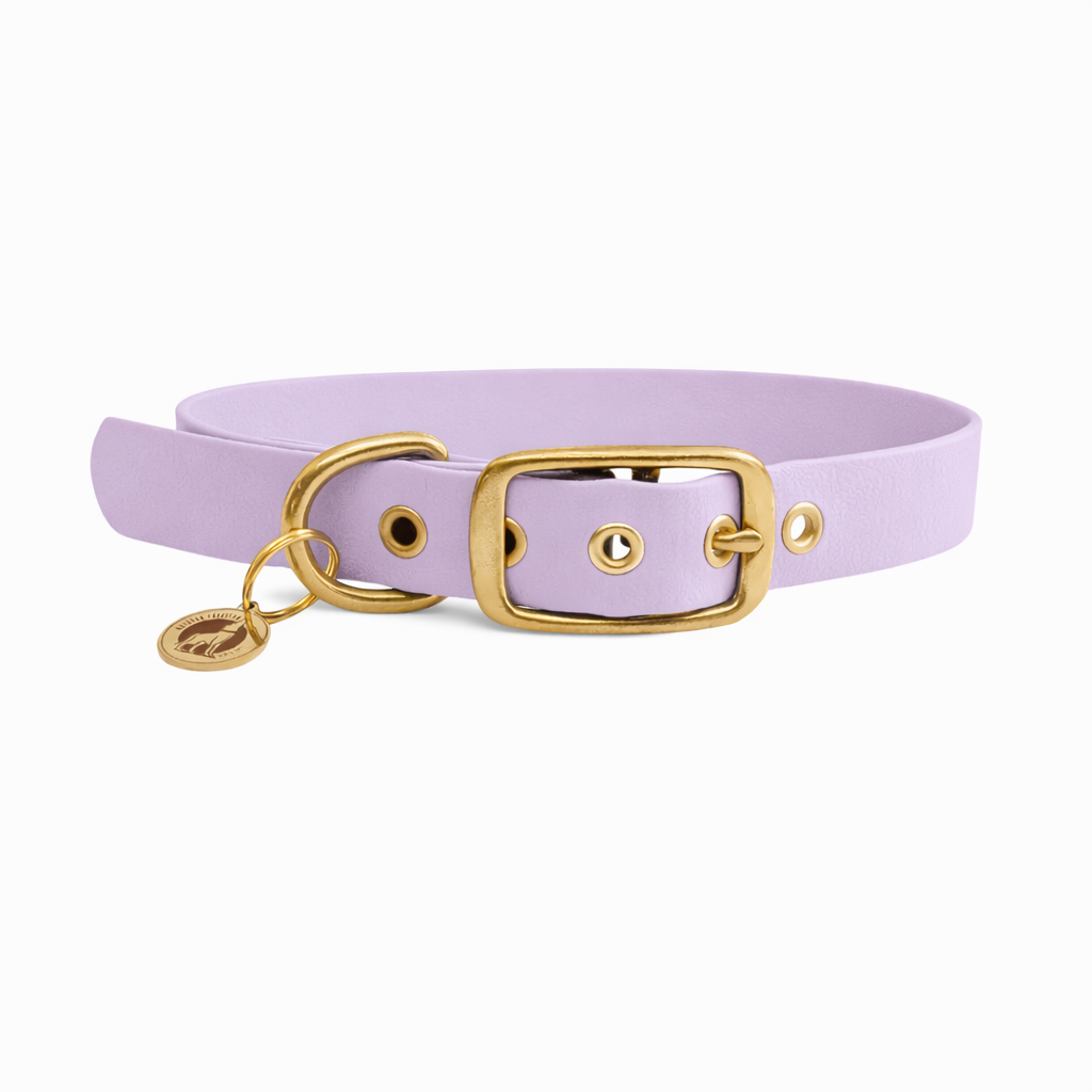 Collier en biothane® - Lilas