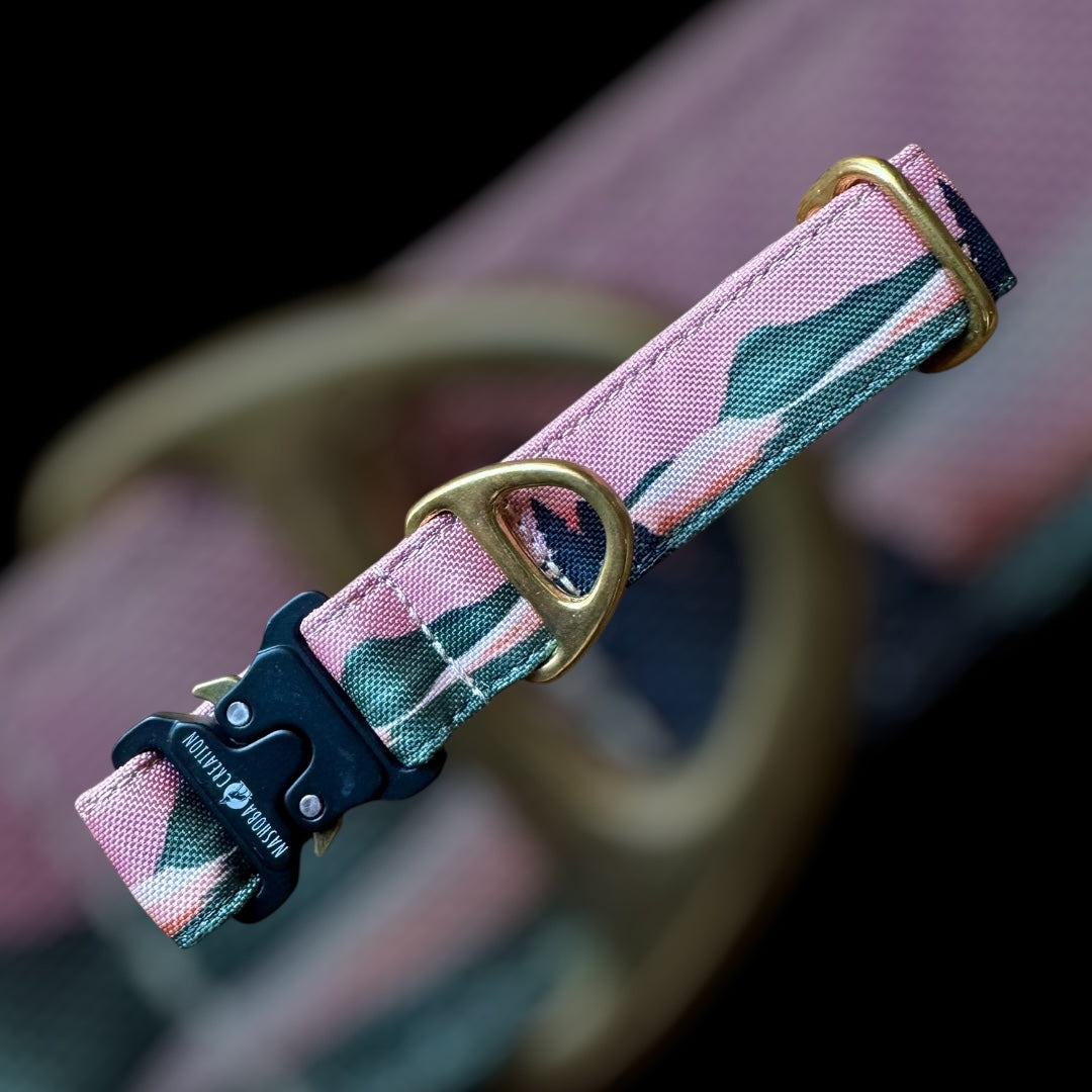 Collier Taille S - Clip sécu 25mm