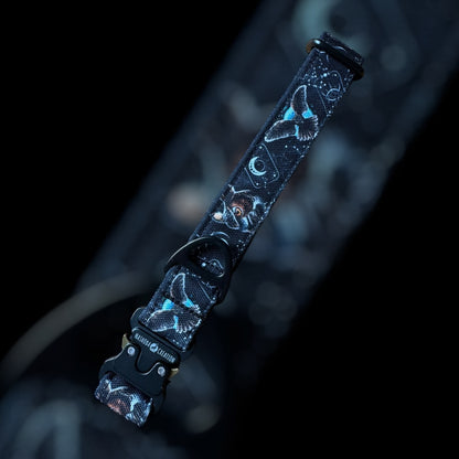 Collier Taille M - Clip sécu 25mm