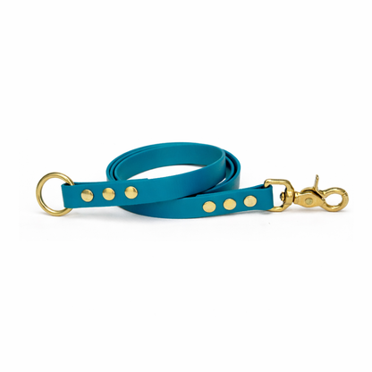 Laisse amovible en biothane® - Lagune