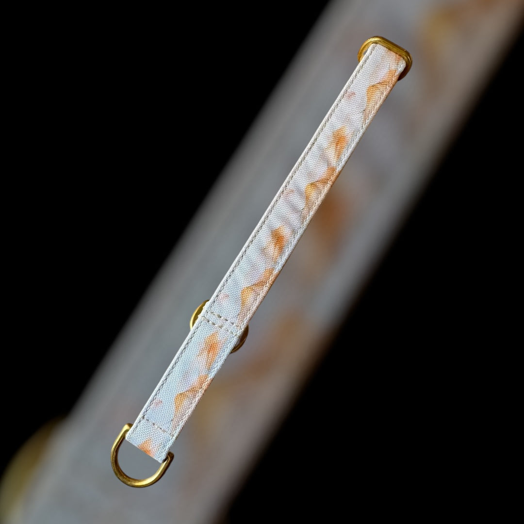 Martingale Taille S - 20mm