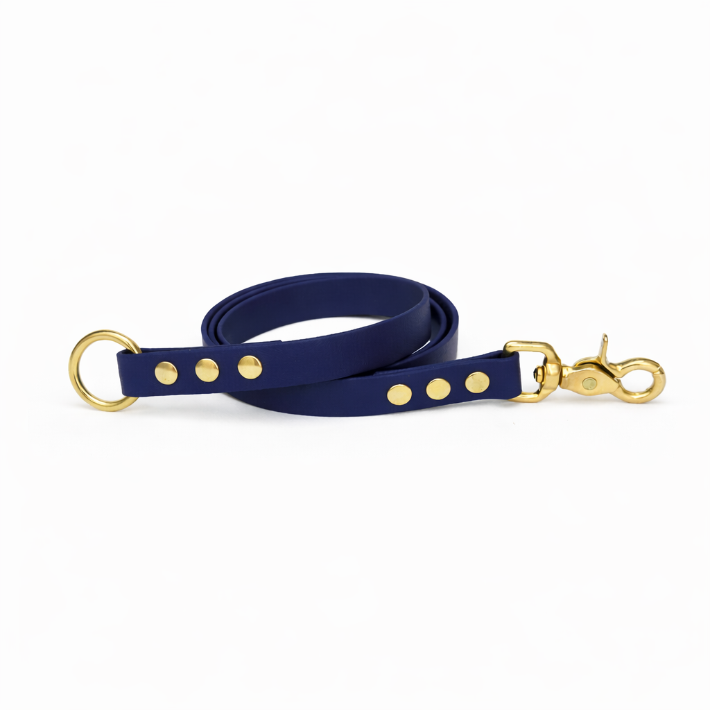 Laisse amovible en biothane® - Navy