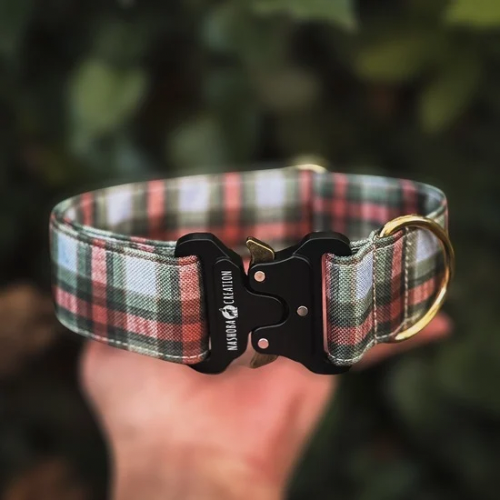 Collier pour chien - Tartan Highland