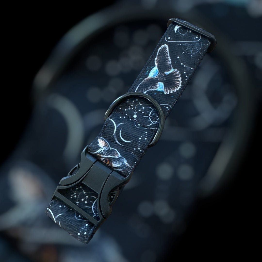 Collier Taille M - Clip plastique 38mm