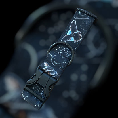 Collier Taille M - Clip plastique 38mm