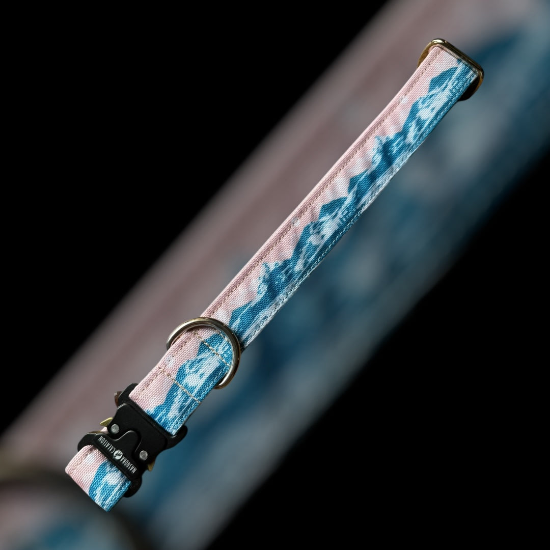 Collier Taille L - Clip sécu 25mm